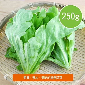 【陽光市集】陽光農業-茼蒿(250g/包)