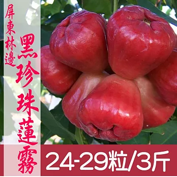 《產地直送》正宗屏東林邊黑珍珠(24~29粒)3斤/箱X6箱
