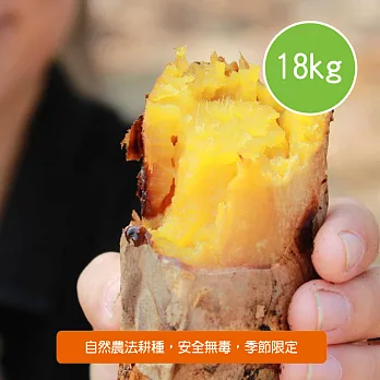 【陽光市集】農糧小鋪-台農57號黃金地瓜(18kg/箱)