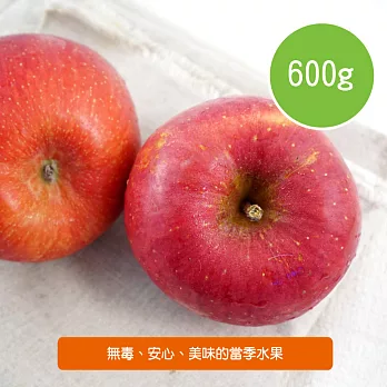 【陽光市集】日本蜜蘋果(600g)