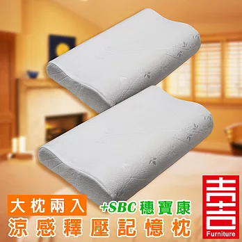 吉加吉 穗寶康 涼感釋壓 記憶枕 SBC-8104 (大枕兩入)