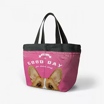 【Fandora】躲狗狗-2-野餐袋/便當袋-