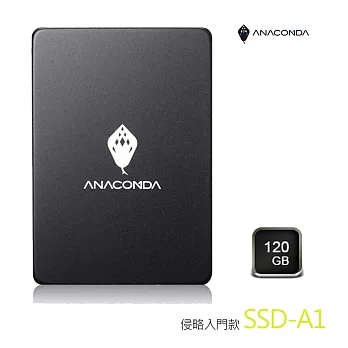 ANACOMDA巨蟒 A1 120GB SSD固態硬碟