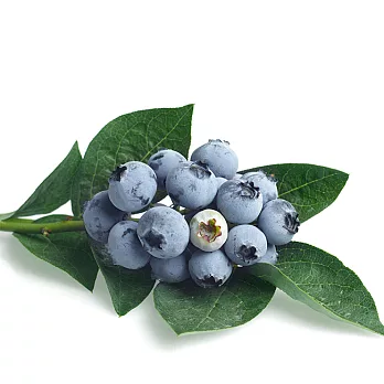 美國 藍莓(1020g/6盒)