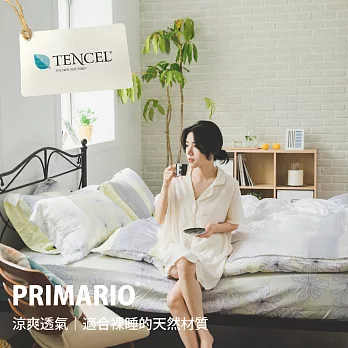 PRIMARIO【梨木道】台灣製 100%奧地利天絲 加大兩用被套床包四件組