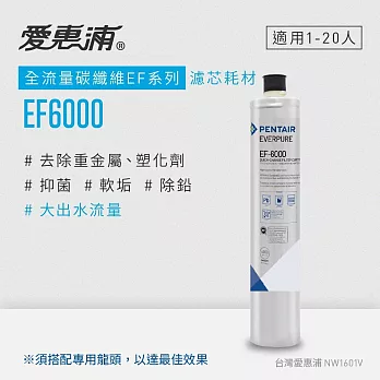 【愛惠浦公司貨】EVERPURE EF6000淨水濾芯(EF6000 CART)