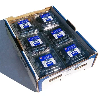 《阿洲水果》進口新鮮藍莓(12小盒)