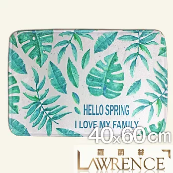 【羅蘭絲相框】葉子A柔毛印花止滑地墊 浴室墊 腳踏墊 防滑地墊(40x60cm)