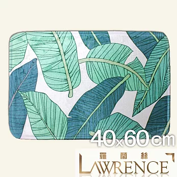 【羅蘭絲相框】葉子C柔毛印花止滑地墊 浴室墊 腳踏墊 防滑地墊(40x60cm)