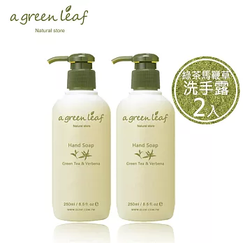 【a Green Leaf一片綠葉】綠茶馬鞭草洗手露250ml 2入