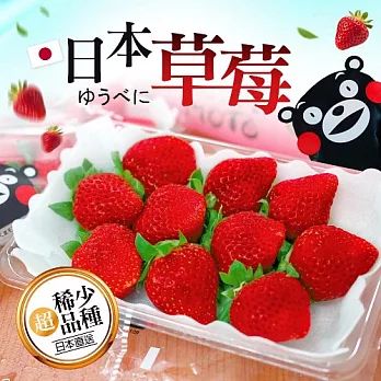 【優鮮配】季節限定-日本空運夢幻草莓2箱(500g/箱)免運組
