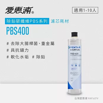 【愛惠浦公司貨】EVERPURE PBS400淨水濾芯(PBS400 CART)