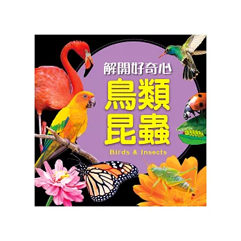 解開好奇心：鳥類昆蟲