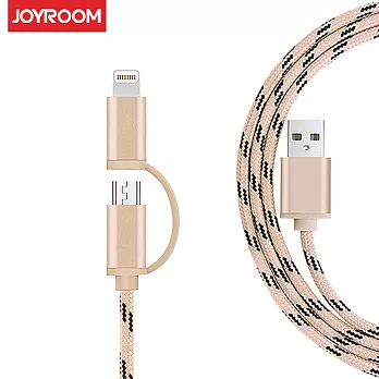 JOYROOM JR-S319 二合一盔甲編織充電傳輸數據線 1M金色