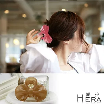 【Hera】赫拉 果凍色蝴蝶結鯊魚夾/大抓夾-4色(咖啡色)