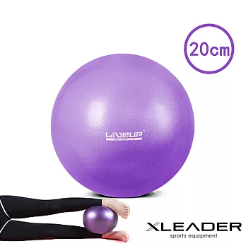 【Leader X】迷你多功能健身瑜珈球 韻律球 抗力球(20cm 紫色)