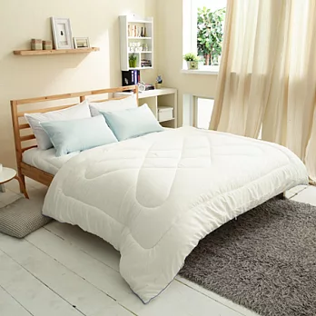 美國 Ever Soft 天絲棉極細柔雙人冬被-標準雙人(6X7尺)