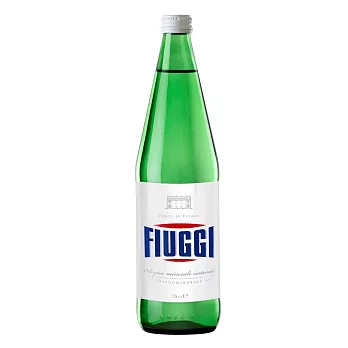 義大利Fiuggi 費齊天然翡翠礦泉水 (1000ml*6瓶)