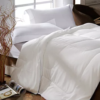 《義大利La Belle》輕柔舒眠天絲四季被--雙人