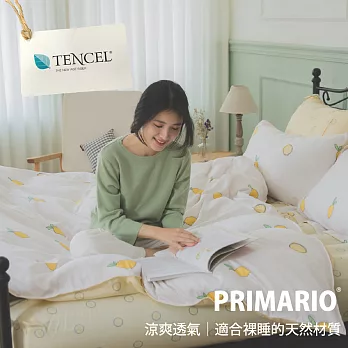 預購◄ PRIMARIO【古茉檸】台灣製 100%奧地利天絲 雙人薄被套床包四件組