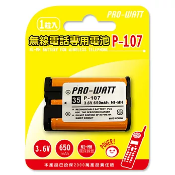PRO-WATT無線電話專用充電電池 (HHR-P107)