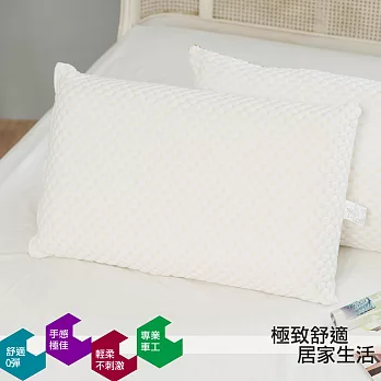 【eyah宜雅】台灣製蜂巢洞洞大型乳膠枕
