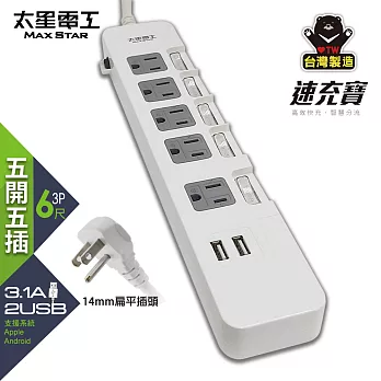 【太星電工】速充寶 3.1A 2USB/3P五開五插電腦線/6尺