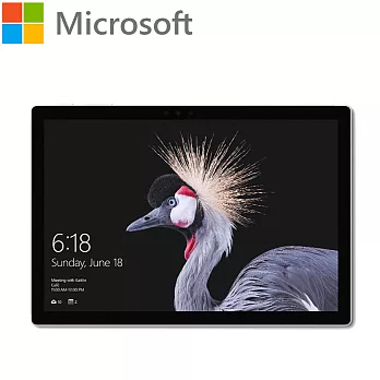 Microsoft 微軟 Surface Pro 12.3吋 平板電腦(i7/16G/512G/Win10 Pro)