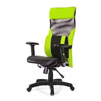 GXG 高背電腦椅 (摺疊扶手/大腰枕) TW-170EA1 請備註顏色