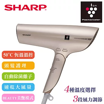 【SHARP 夏普】 自動擊菌離子速乾吹風機/香繽金 IB-GP9T-N