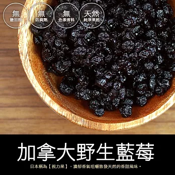 【築地一番鮮】加拿大野生藍莓(250±5克/罐)
