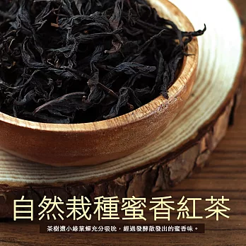 【築地一番鮮】自然栽種蜜香紅茶(40±5克/罐)