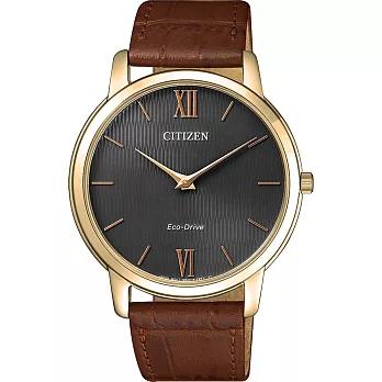 CITIZEN Eco-Drive 沉穩感時尚腕錶-AR1133-15H