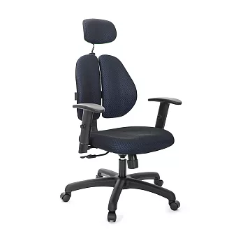 GXG 雙背涼感 電腦椅 (升降扶手) TW-2995EA5 請備註顏色