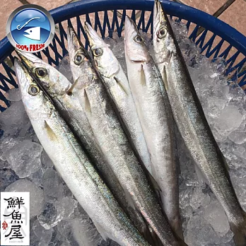 【鮮魚屋】現撈台灣野生船釣尖梭440g/包(2條/包)