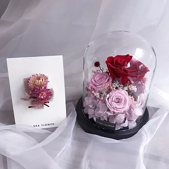 【U】flora flower - 紅粉永生花夜燈(卡片禮盒組)