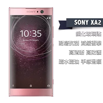 SONY XA2 鋼化玻璃貼