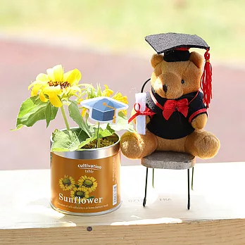 【迎光】熊麻吉栽培罐組-向日葵
