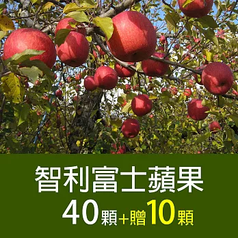 【優鮮配】家庭必備 智利富士蘋果40顆*1箱(加碼送10顆)