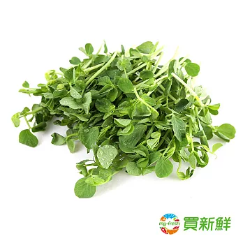 【買新鮮】小豆苗(100g/包)