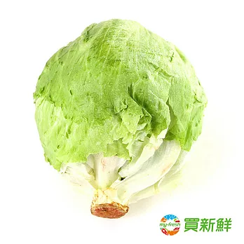 【買新鮮】西生菜(600g/包)