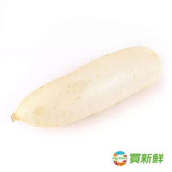 【買新鮮】白蘿蔔(600g/包)