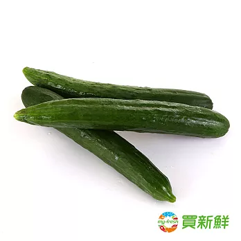 【買新鮮】小黃瓜(400g/盒)