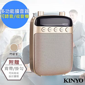 【KINYO】多功能耳麥式擴音器/錄音收音機(TDM-90)閃耀金