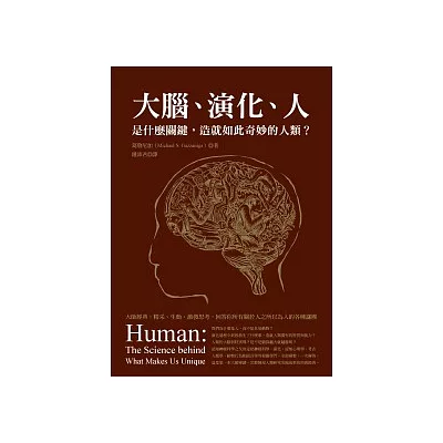 大腦、演化、人：是什麼關鍵，造就如此奇妙的人類？