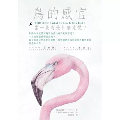 鳥的感官:當一隻鳥是什麼感覺?
