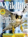 BBC Wildlife  8月號/2015