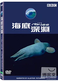 海底深淵 DVD