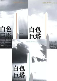 白色巨塔套書(2011年版，三冊不分售)