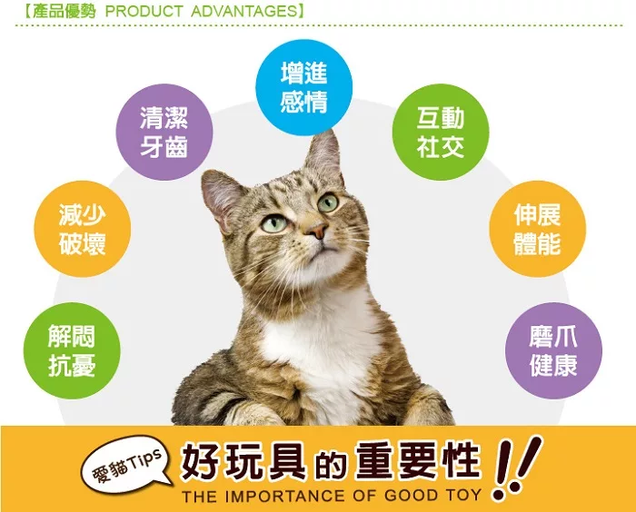☆御品小舖☆ 美國 Petstages 90019 羽毛天堂鳥-貓草玩具 寵物貓咪玩具